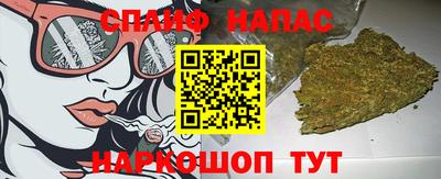 PSILOCYBIN Бугуруслан
