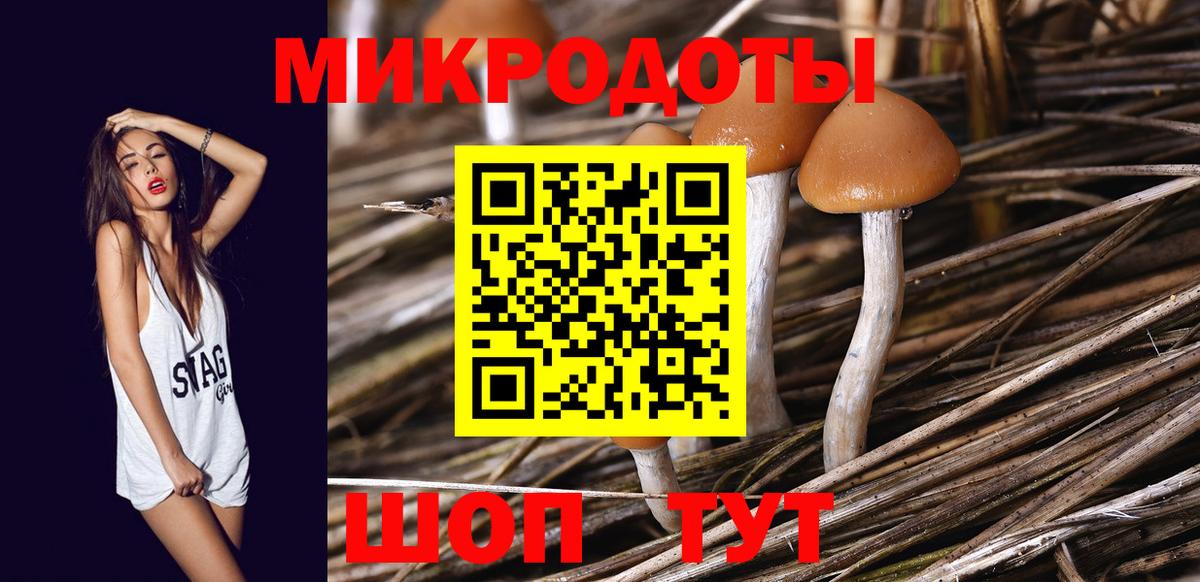 Галлюциногенные грибы мицелий Реутов