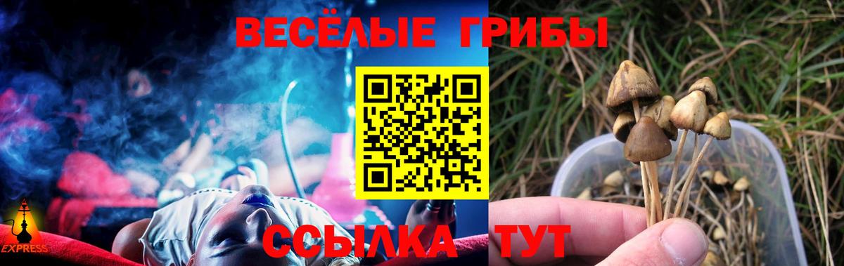 Реутов  Псилоцибиновые грибы Magic Shrooms  Вход с VPN 